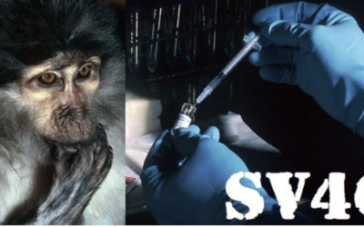 Virus cancerígeno en la vacuna de Polio